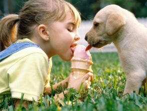 ένα κορίτσι τρώει παγωτό με έναν σκύλο και μολύνεται από παράσιτα